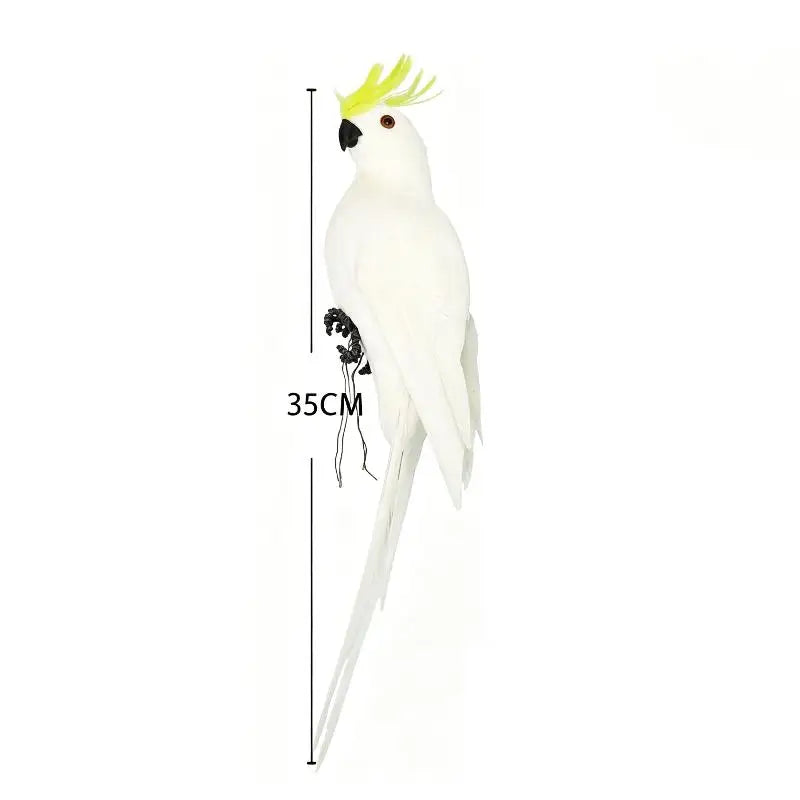 ornement animal perroquet rouge blanc vert jaune bleu rose plumes brillantes pieds extérieur intérieur