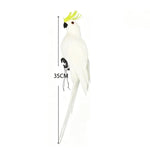 ornement animal perroquet rouge blanc vert jaune bleu rose plumes brillantes pieds extérieur intérieur