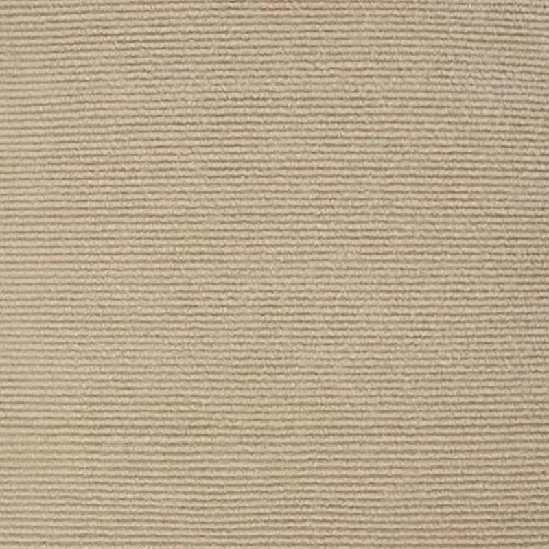 tapis griffoir chat adhésif texturé moderne protection canapé gris feutre fixe mur durable