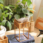 paniers plantes moderne marron clair tressé structure métallique intérieur salon balcon succulente verte mini