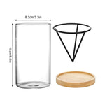 Kit germination avocat vase verre transparent support métallique soucoupe bois plante feuilles vertes cactus
