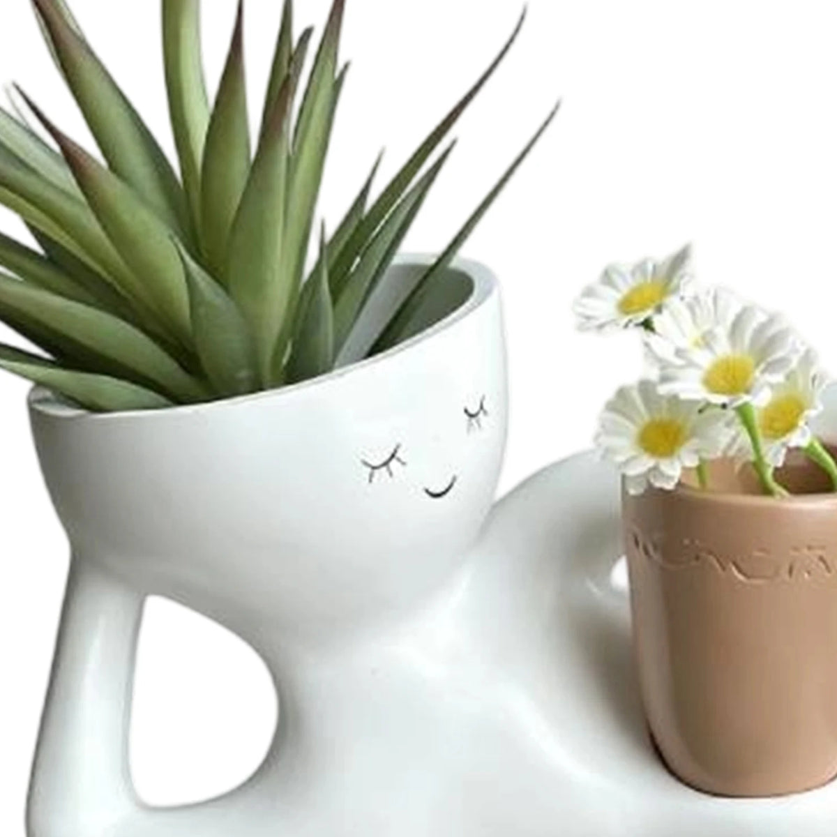 pots fleurs décoratifs résine visage souriant moderne succulente aloe vera blanche rouge beige
