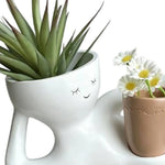 pots fleurs décoratifs résine visage souriant moderne succulente aloe vera blanche rouge beige