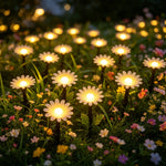 guirlande lumineuse solaire fleurs marguerites extérieur decoration jardin led blanc rose orangé feerique champetre