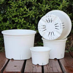 Pots semis transparents drainage plantes fleurs jardin pratique large