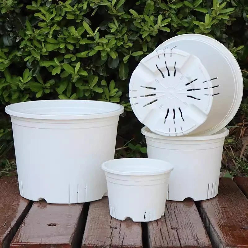 Pots semis transparents drainage plantes fleurs jardin pratique large