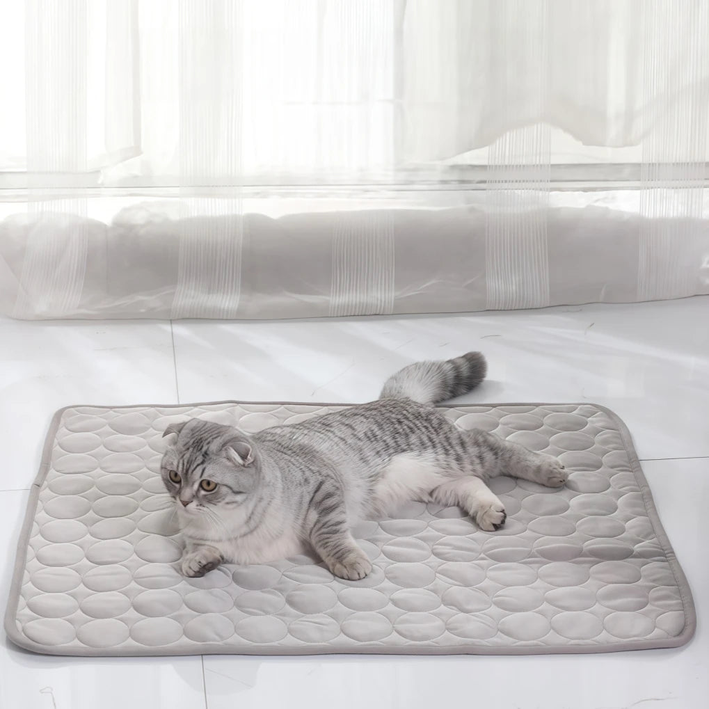 tapis rafraîchissant soie glacée antidérapant respirant lavable coussin été dissipateur chaleur usage niche chiens