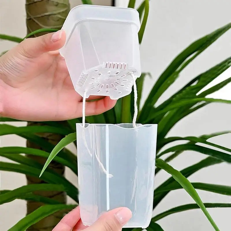 pots fleurs transparents modernes diverses plantes vases fleurs minimaliste grille plastique cordes blanches auto