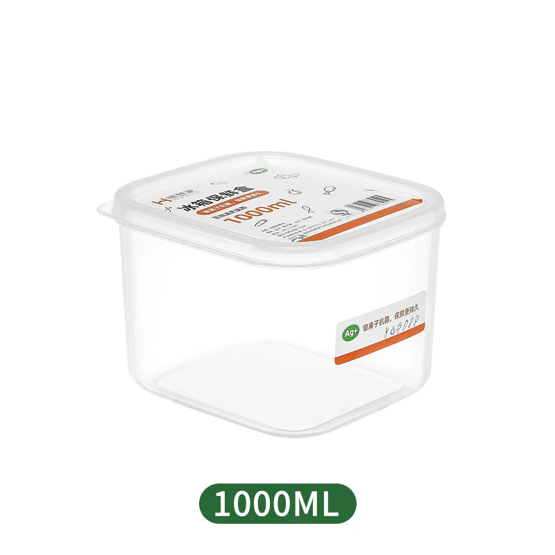 boîtes conservation alimentaires transparentes modernes poignées étiquettes fruits légumes viandes