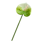 fleurs artificielles vert rouge blanc moderne décoration intérieure bouquets mariage arrangements floraux minimaliste