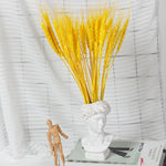 décoration maison plante séchée pampa moelleuse naturelle vase dried flowers beige rustiqueintérieur