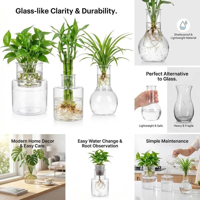 pot hydroponique transparent moderne plante propagation sans motif très clair