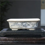 bacs plantes chinois paysage peint blanc opaque décoration intérieure pots fleurs