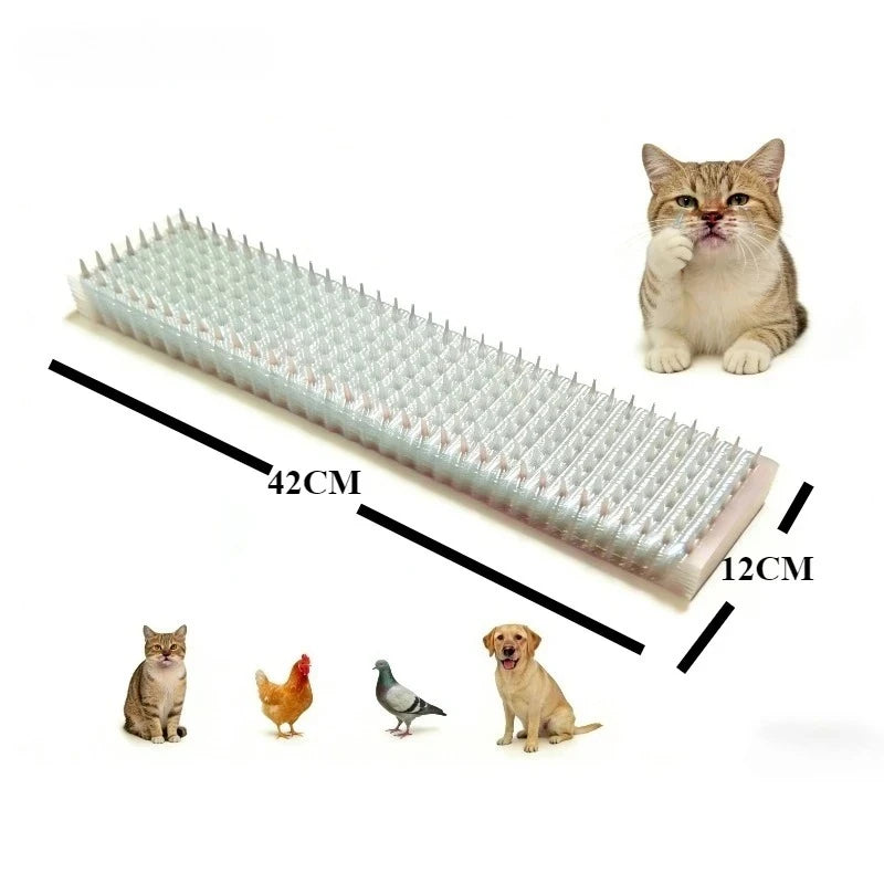 tapis dissuasif picots anti chat transparent orange gris protection plantes animaux utilitaireextérieurintérieur