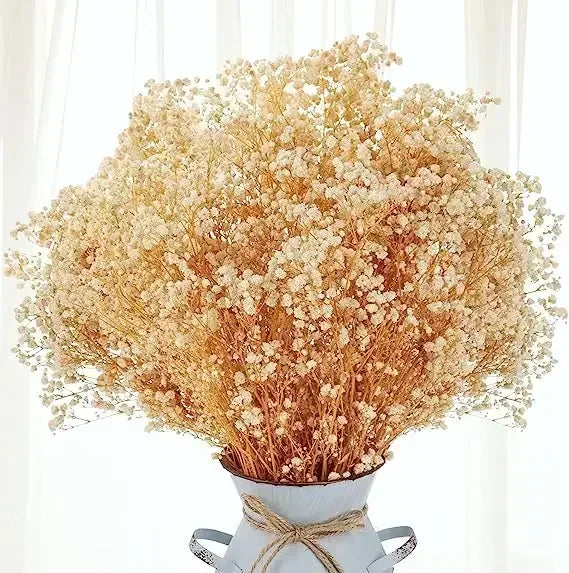 décoration maison bouquet fleurs séchées rose blanches vase naturel rustique