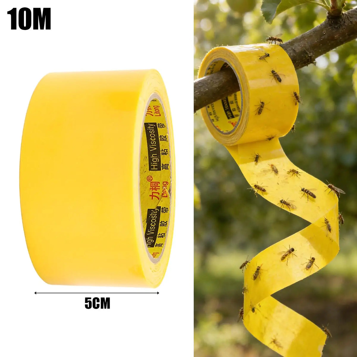 adhésif anti insectes protection arbres serre céréaliers bandes jaunes fourmis mouches moustiques