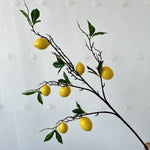 décoration intérieure branches fruits naturels pommes oranges citrons marrons festive maison anniversaire