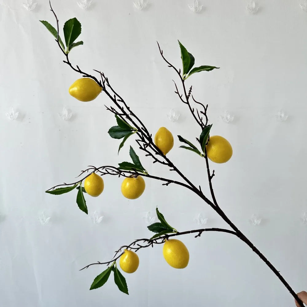 décoration intérieure branches fruits naturels pommes oranges citrons marrons festive maison anniversaire