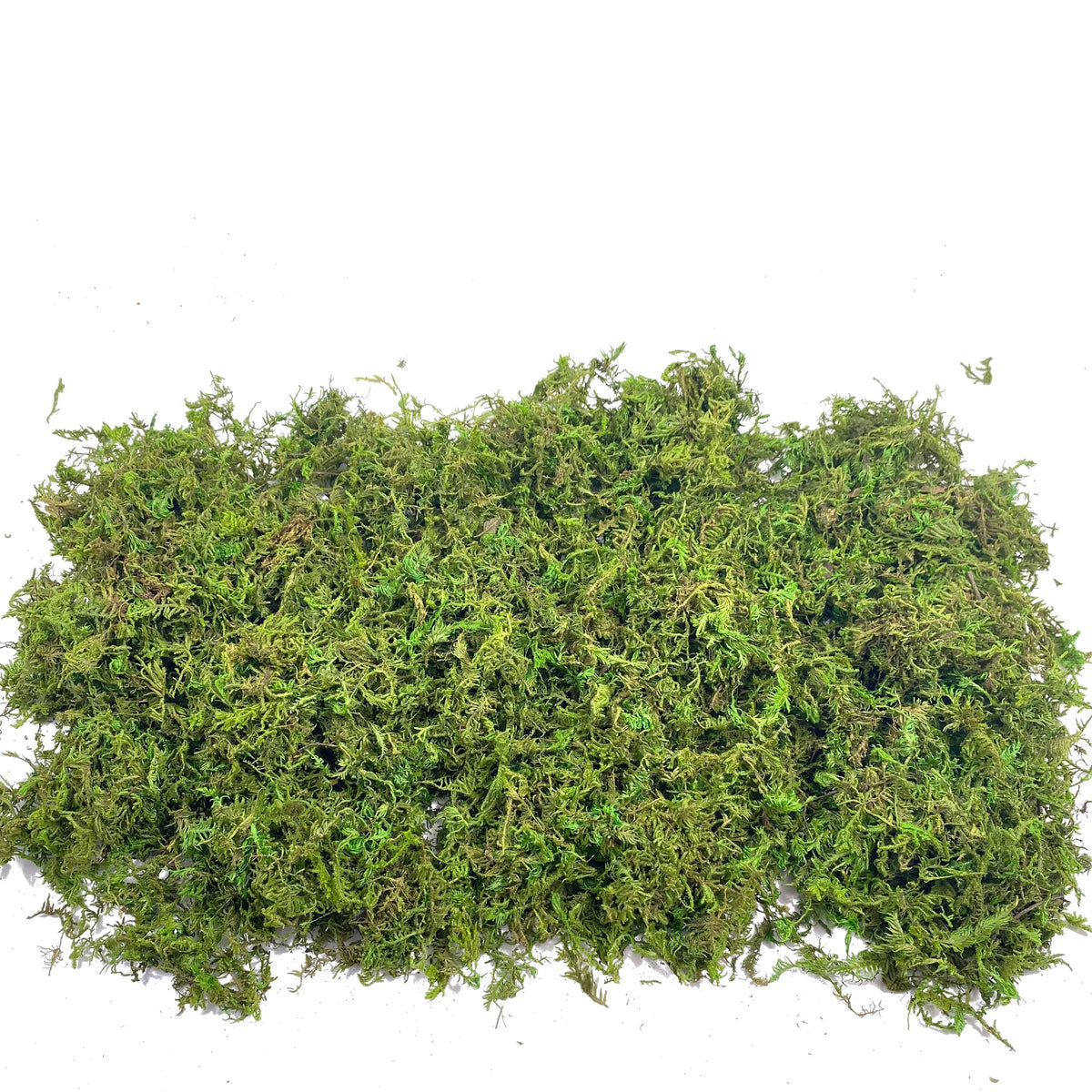 mousse artificielle verte feuillue naturelle réaliste decoration exterieur jardin mariage anniversaire