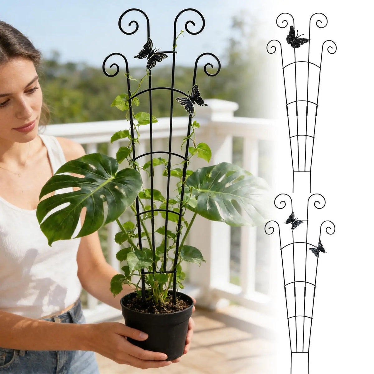 support plante grimpante art nouveau papillons noirs balcon jardin fleuri bricolage fixations invisiblesextérieurintérieur