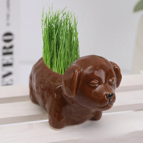 vase porcelaine chien miniature décoration plantes vertes moderne animalier texture céramique