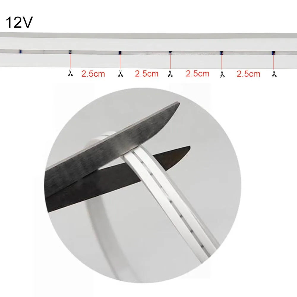 Détail des puces LED SMD2835 sur le ruban 12V