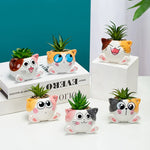 cache pot forme chat cartoon miniature deco plante verte blanc rose orange