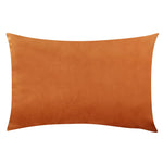 housse coussin velours uni 30x50 cm décoration salon canapé chambre moderne couleur violette