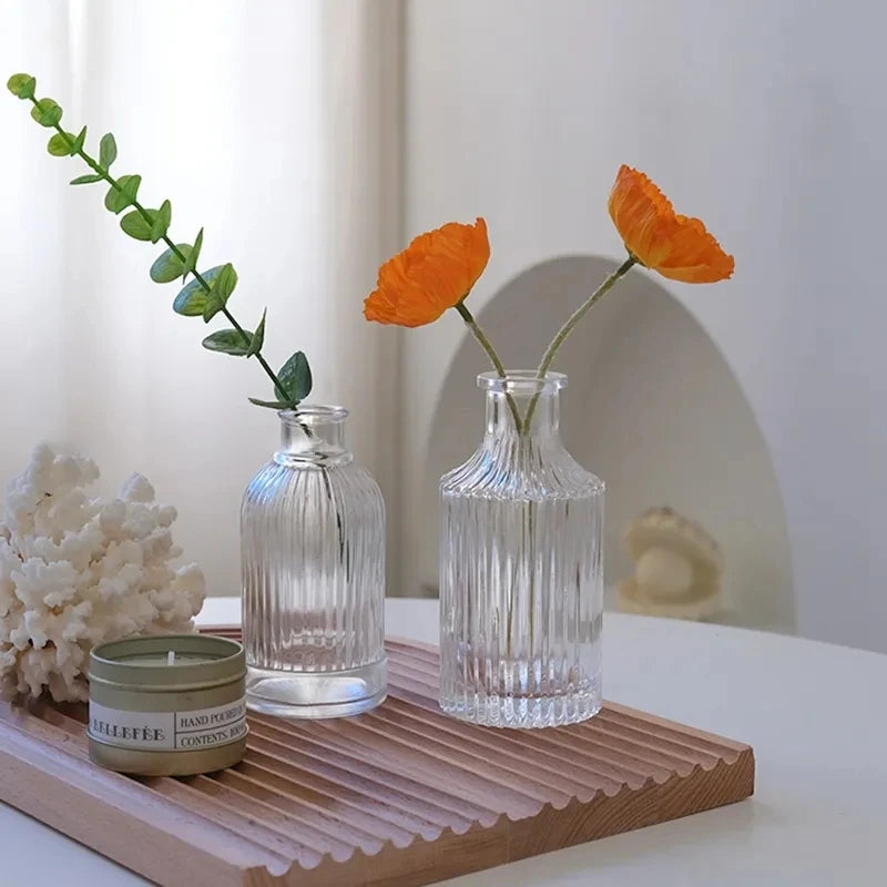 vases transparents modernes verre cristal pot fleur terrarium hydroponique arrangement table pièce