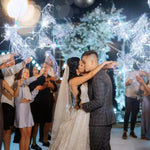 rubans led mariage argenté blanc tissé brillant moderne festif clips interrupteur 50cm