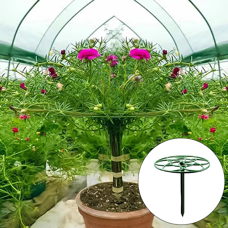 support plante grimpante pot fleuri terreau métal jardin decoration intérieur extérieur fixations pots variés