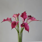 fleurs artificielles calla lily blanc rose orange vases transparents mariage anniversaireintérieurDecorationMinimaliste