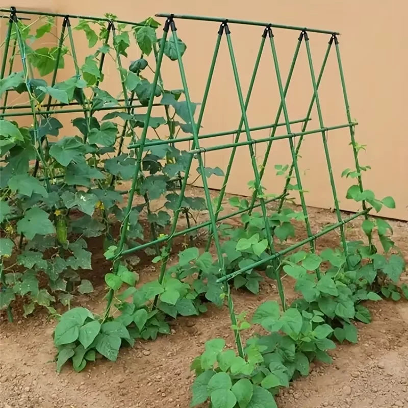 support plante grimpante métal vert structure triangulaire jardinage utilitaire fixations liens noirs croissance concombre