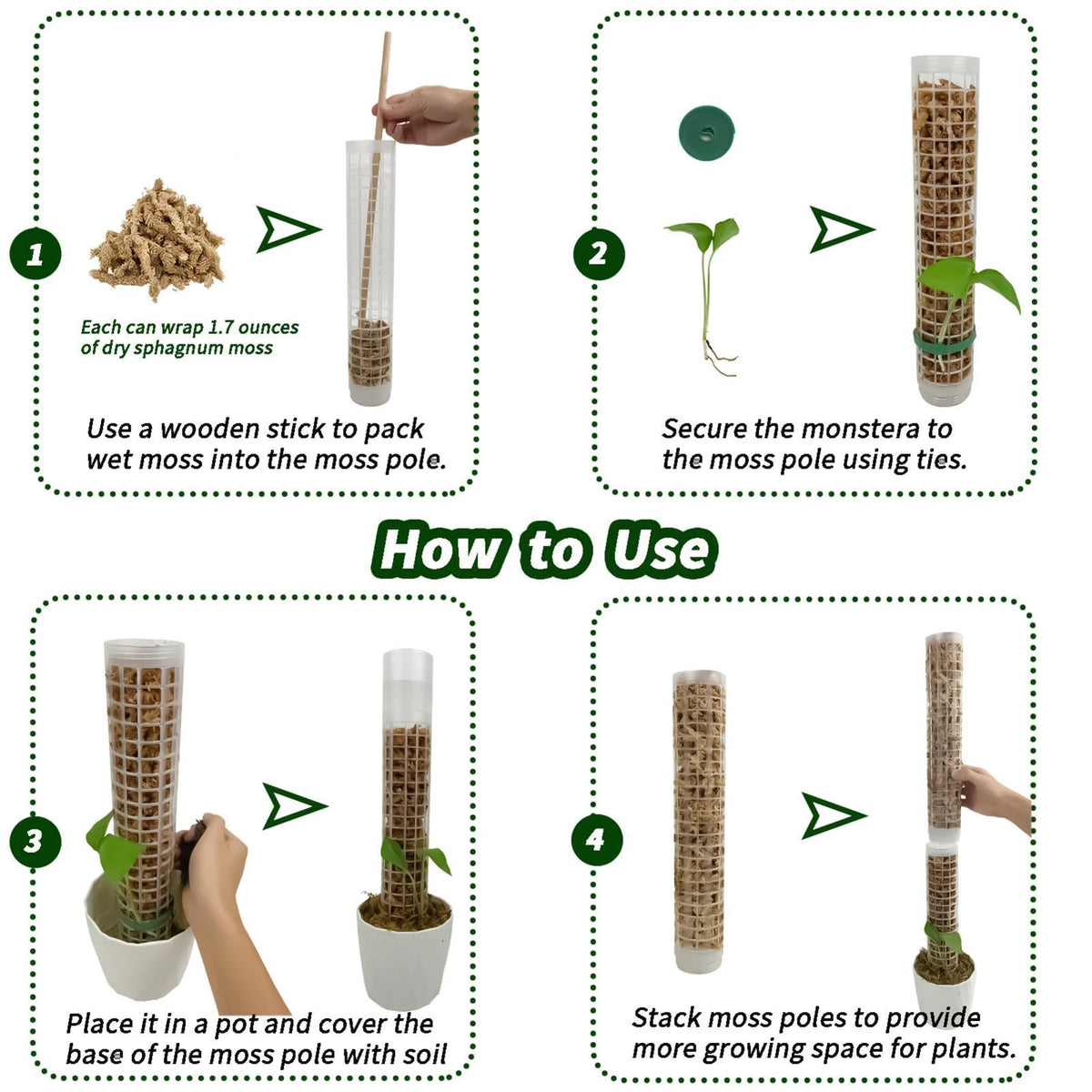 support plantes intérieur irrigation monstera adhésif conteneur eau gravier mousse terre modernes transparents