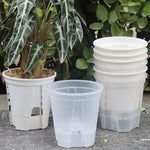 pots plante moderne auto arrosants transparents blancs hydroponiques lazy eyelets