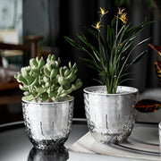 jardinière hydroponique transparente diamantée autoarrosante moderne intérieur plante herbe aromatique
