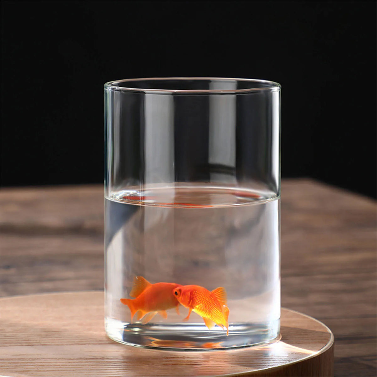 vase verre transparent moderne maison fleurs artificielles plusieurs tailles disponible