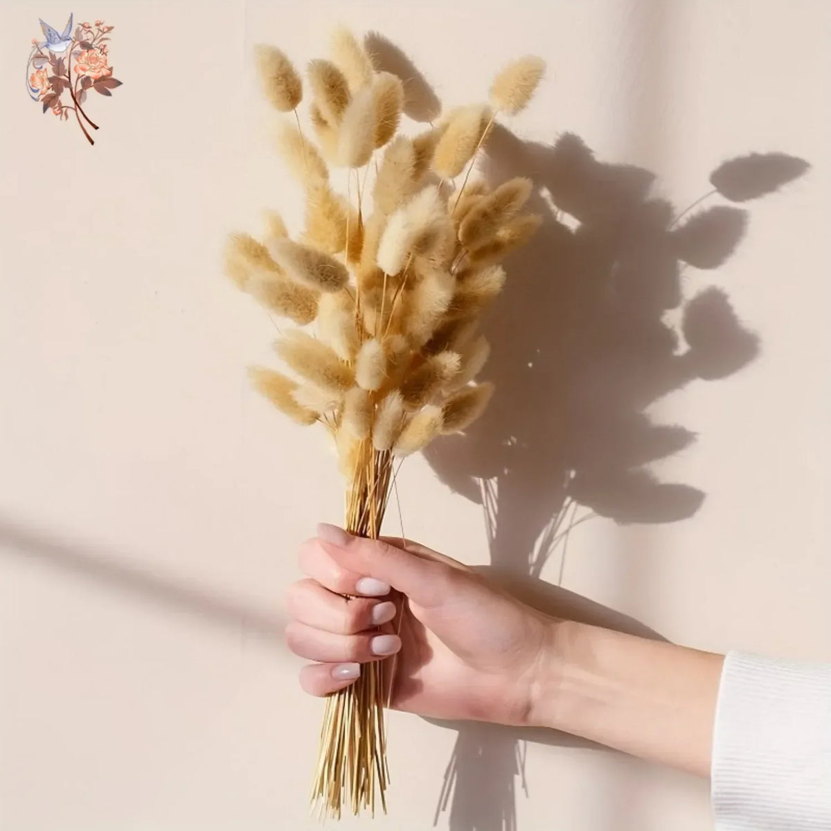 plumes séchées naturelles queue lapin décoration maison fêtes anniversaires mariage bohème rustic beige clair
