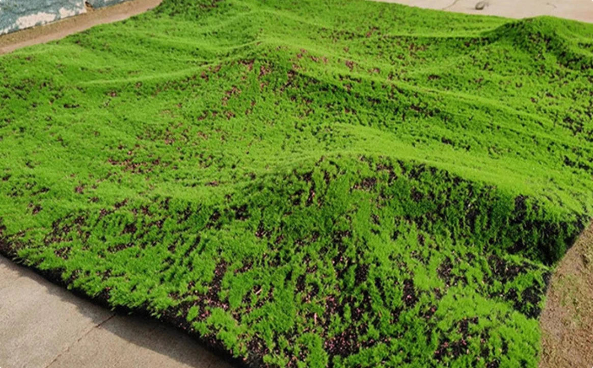 tapis artificiel vert vif texture pelucheuse moderne extérieur festival mariage exposant