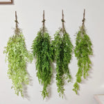 plantes suspendues vigne feuilles vertes rustiques extérieures accrochées naturellement exposéesextérieur decoration