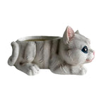 pots fleurs forme chat imitation pelage succulentes decoration gris rose bleu mignon animalier