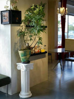 table d'appoint colonne romaine pierre sculptée classique blanc décoration intérieure angle canapé