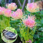 éclairage extérieur solaire fleurs artificielles lumineuses moderne vert rose blanc patio jardin