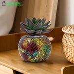 bougeoir multicolore mosaïque artisanal verre opac transparent décoration maison petite bougie chauffe plat support