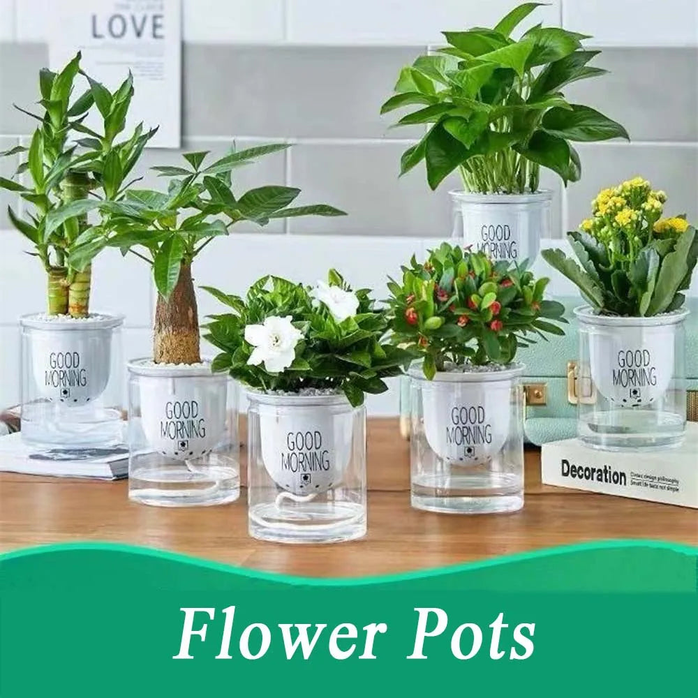 pots fleurs transparents plante verte moderne décoration intérieure minimaliste jardinière supplémentaire