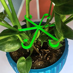 Support plante intérieure vert moderne fixe tige plante fleur six pétales incurvés plastique
