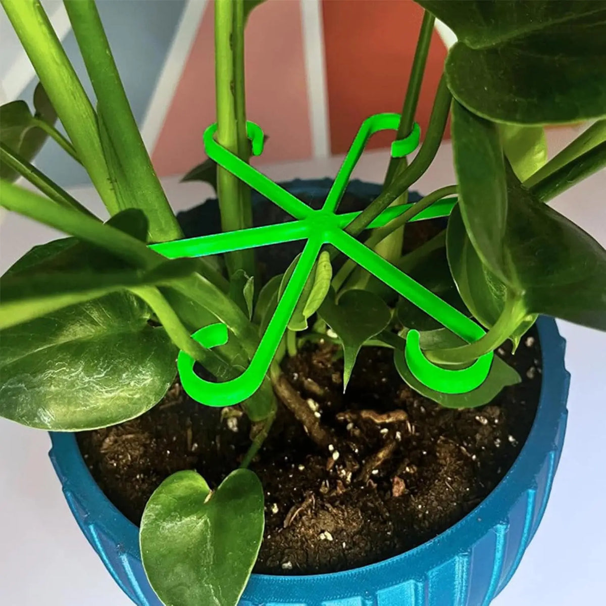 Support plante intérieure vert moderne fixe tige plante fleur six pétales incurvés plastique