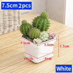 petit pot fleurs blanc plastique moderne cactus succulentes plateau intégré