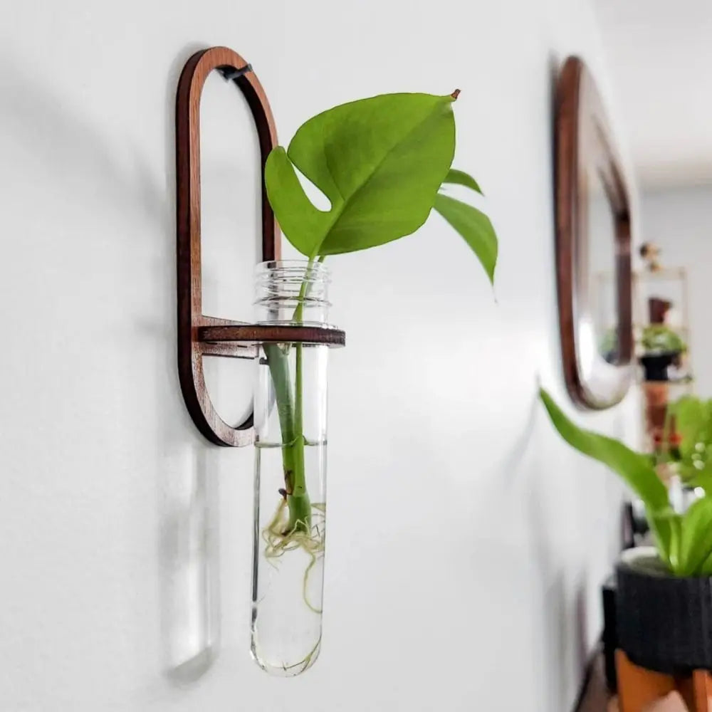 support mural moderne transparent bocal marron adhésif plante deco étagère bois minimaliste arrangement fleur