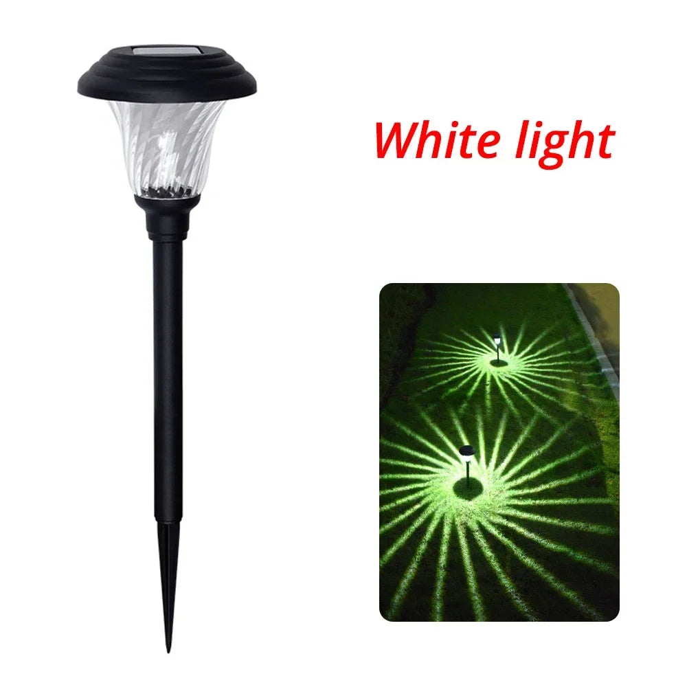Lampe solaire jardin moderne noire transparente rayons lumineux IP65 étanche